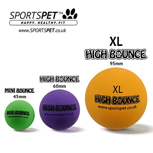 SPORTSPET Langlebige High Bounce Sport Bälle für Hunde 3er Pack - 7