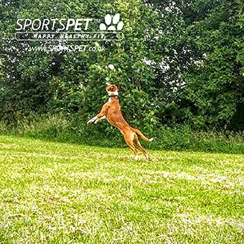 SPORTSPET Langlebige High Bounce Sport Bälle für Hunde 3er Pack - 9
